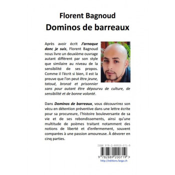 Dominos de barreaux
